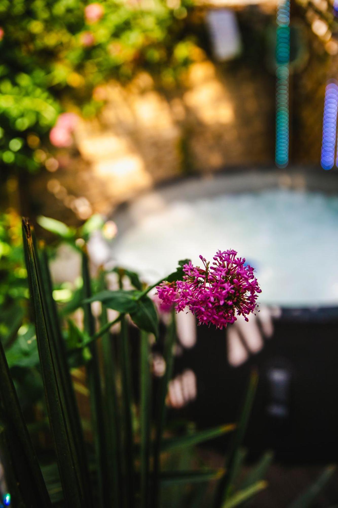 Appartement Fraichement Renovee - Jacuzzi Au Coeur De Caen Buitenkant foto